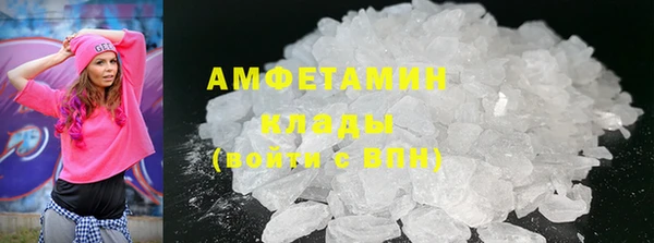 индика Арсеньев
