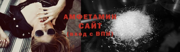 индика Арсеньев