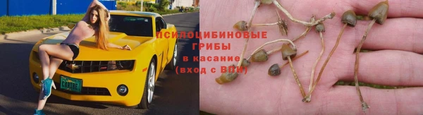 индика Арсеньев