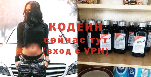 индика Арсеньев