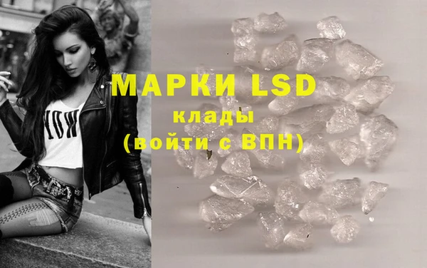 мдпв Гусев
