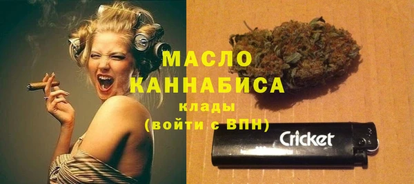 индика Арсеньев