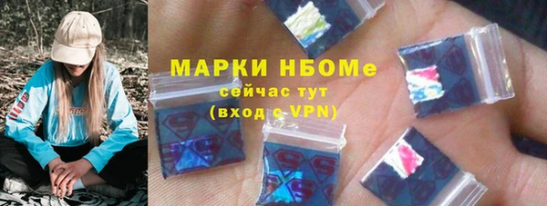 индика Арсеньев