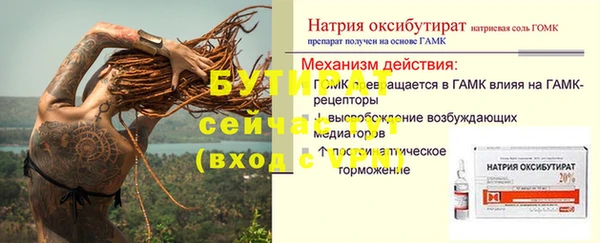 индика Арсеньев